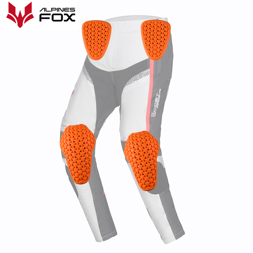 CE المستوى 2 معتمد دراجة نارية - مراجعة Motorcycle Gear Alpine وسعره